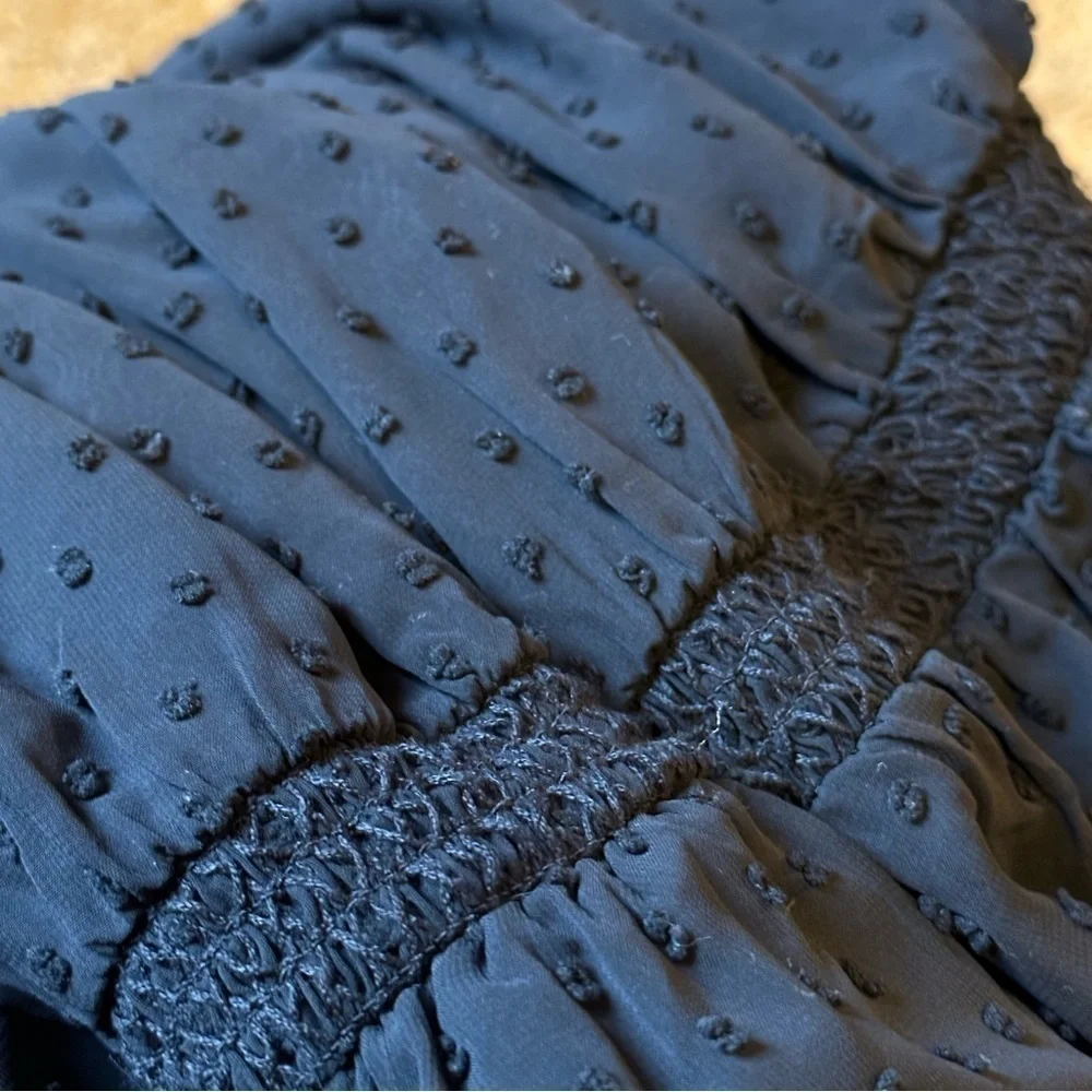 NWT Altuzarra Dress Black Swiss dot chiffon sequins long sleeves smocked Sz 4 - Picture 12 of 15